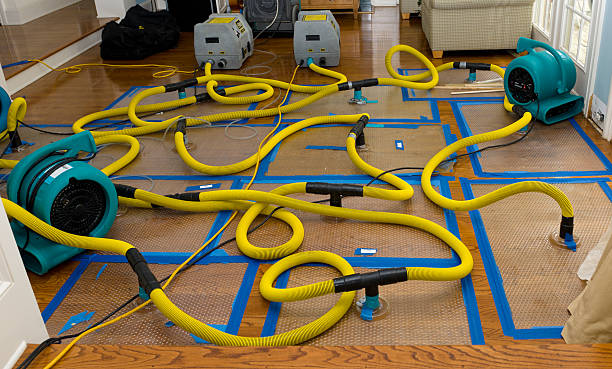 Professional Emergency Water Removal technician working in Wooster, AR